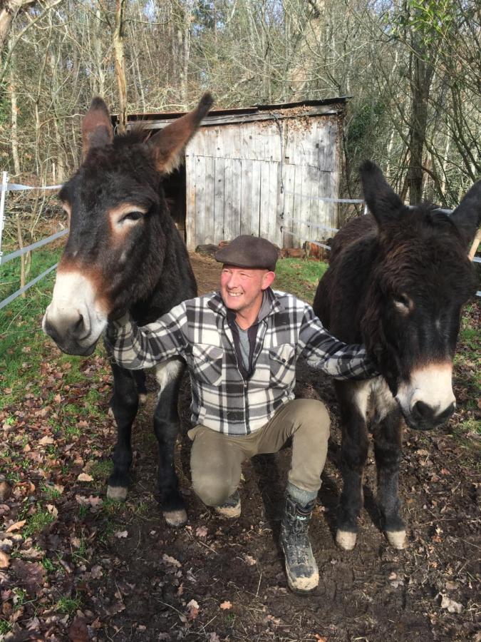 Loire Valley Llama Farm Stay Saint-Cyr-Les-Champagnes Esterno foto