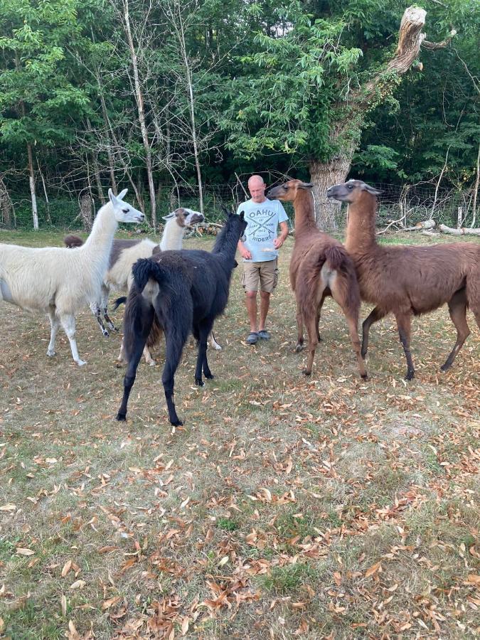 Loire Valley Llama Farm Stay Saint-Cyr-Les-Champagnes Esterno foto