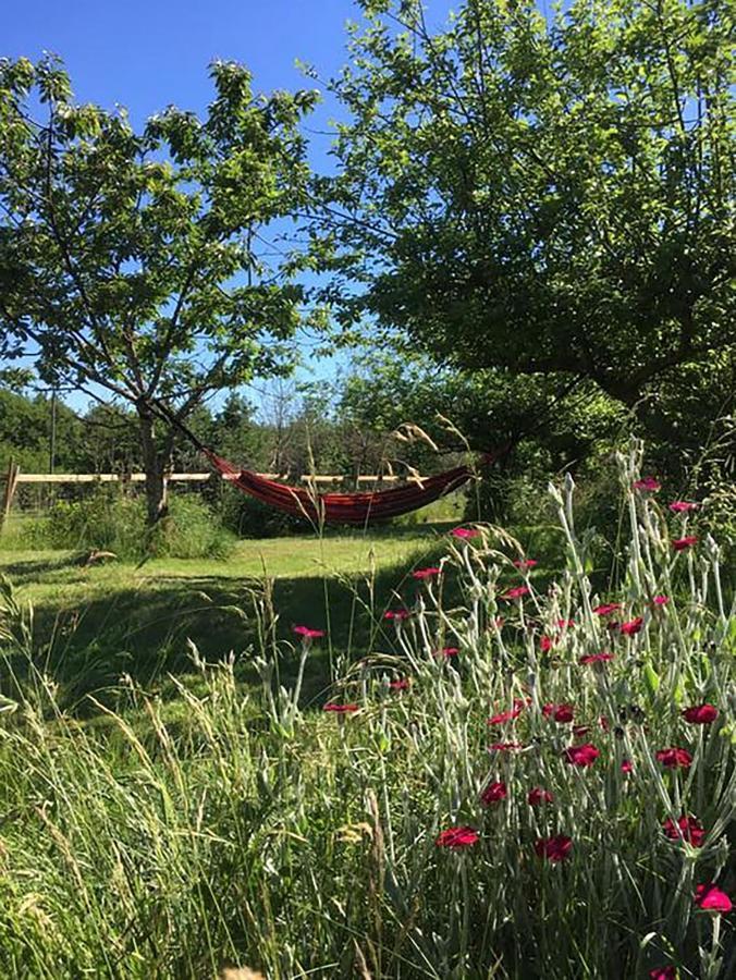 Loire Valley Llama Farm Stay Saint-Cyr-Les-Champagnes Esterno foto