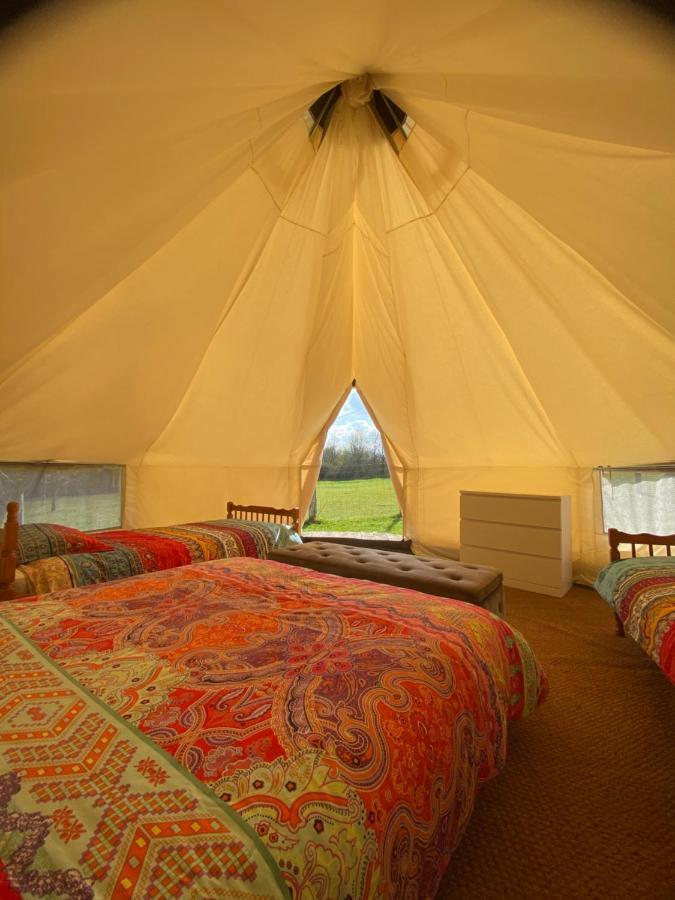 Loire Valley Llama Farm Stay Saint-Cyr-Les-Champagnes Esterno foto