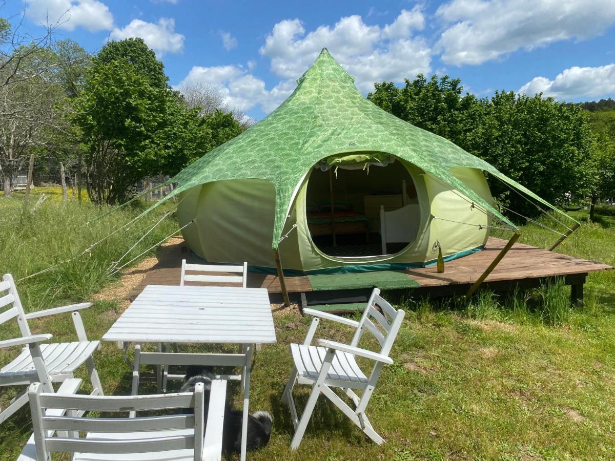 Loire Valley Llama Farm Stay Saint-Cyr-Les-Champagnes Esterno foto