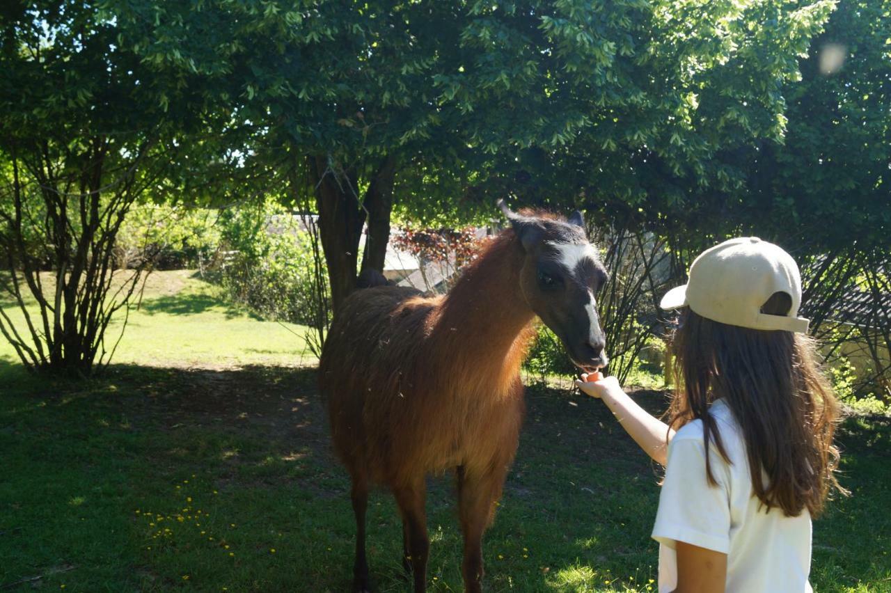 Loire Valley Llama Farm Stay Saint-Cyr-Les-Champagnes Esterno foto