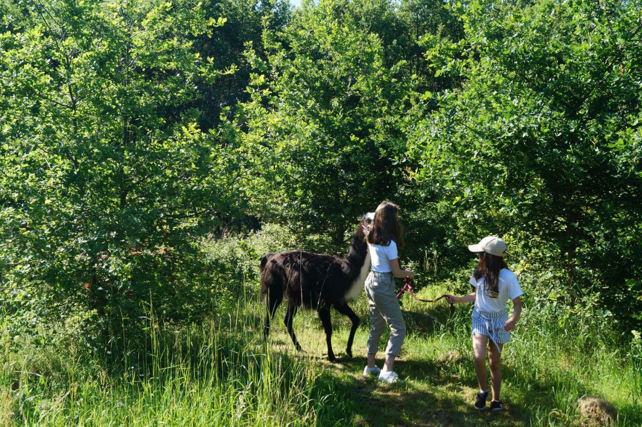 Loire Valley Llama Farm Stay Saint-Cyr-Les-Champagnes Esterno foto