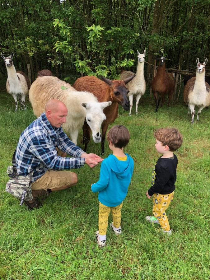 Loire Valley Llama Farm Stay Saint-Cyr-Les-Champagnes Esterno foto