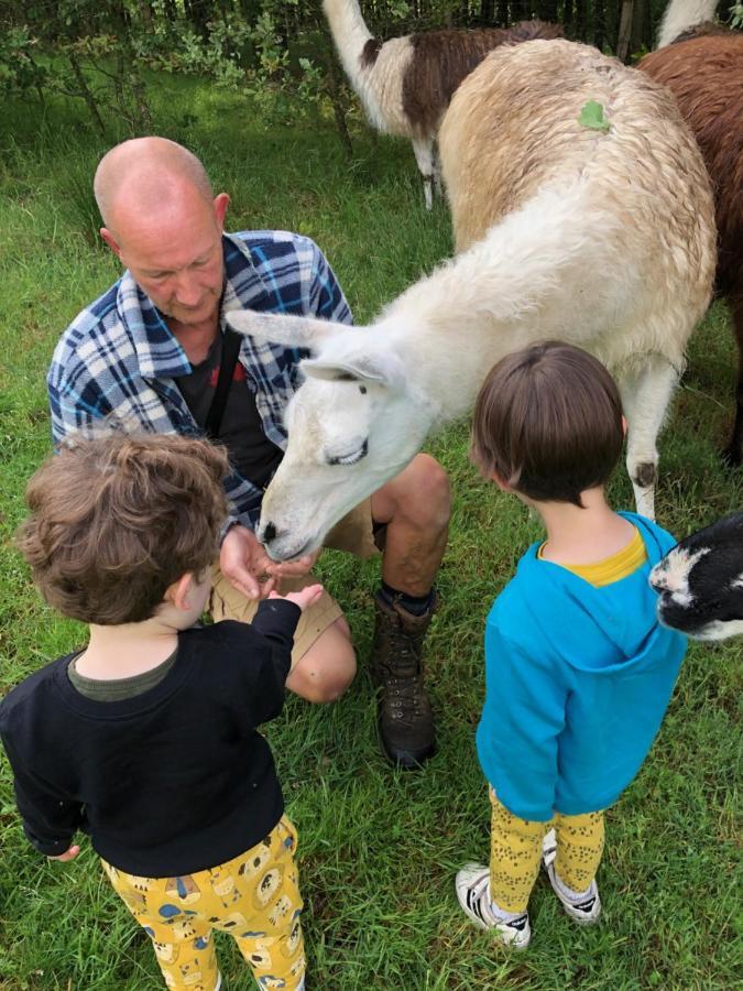 Loire Valley Llama Farm Stay Saint-Cyr-Les-Champagnes Esterno foto
