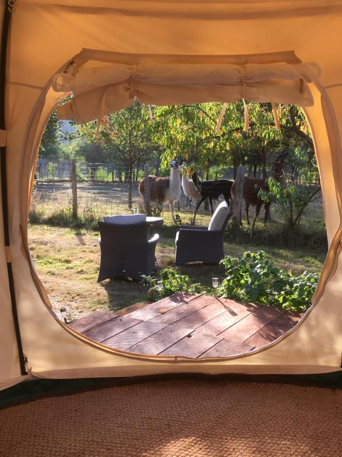 Loire Valley Llama Farm Stay Saint-Cyr-Les-Champagnes Esterno foto