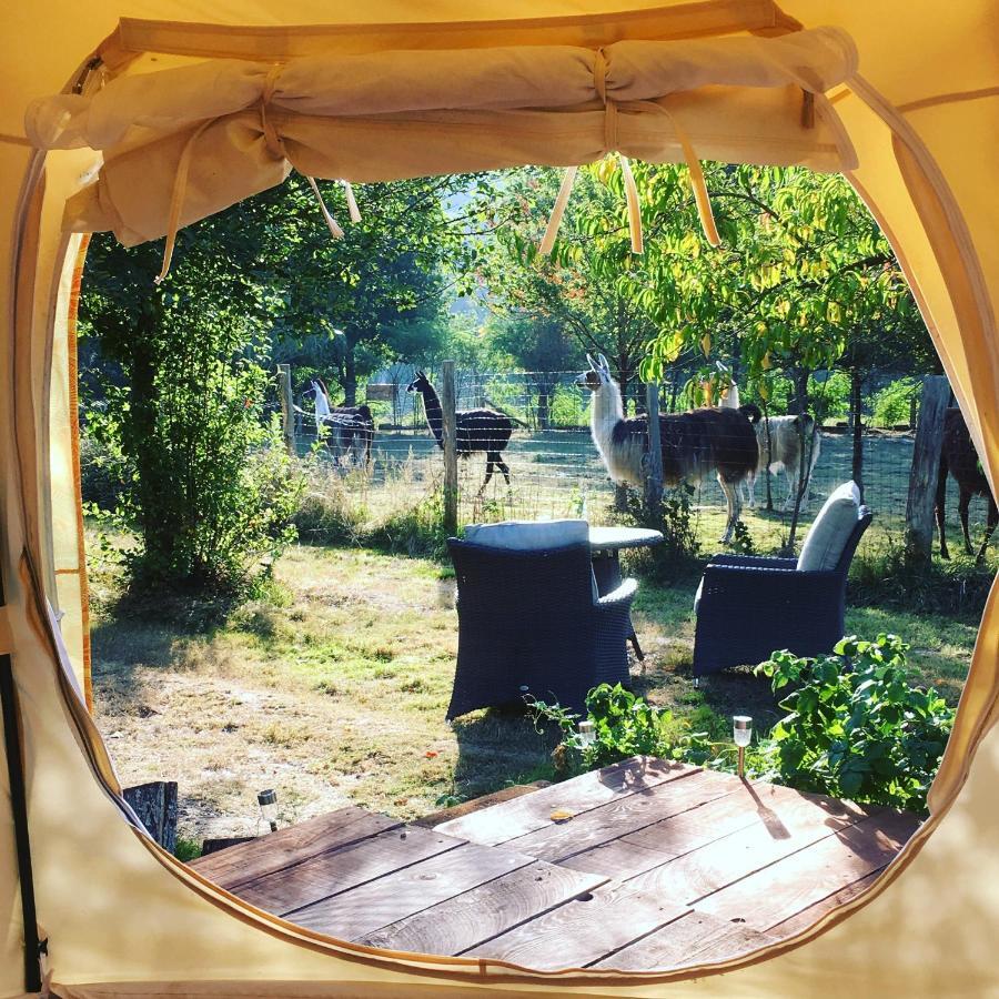 Loire Valley Llama Farm Stay Saint-Cyr-Les-Champagnes Esterno foto